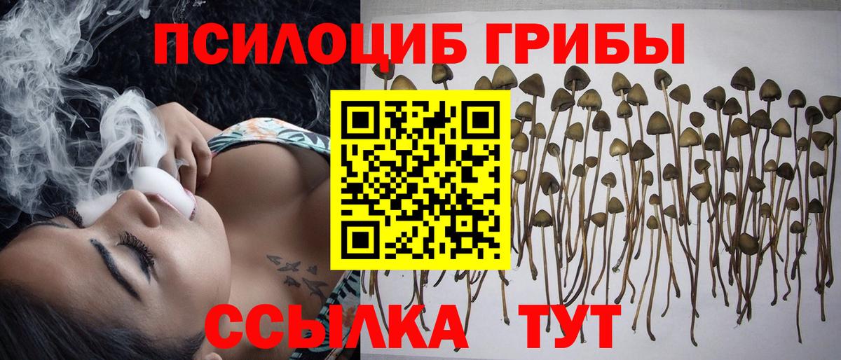 Галлюциногенные грибы Psilocybe  Псилоцибиновые грибы Psilocybine cubensis  где купить наркоту  Вход с VPN  Белово 