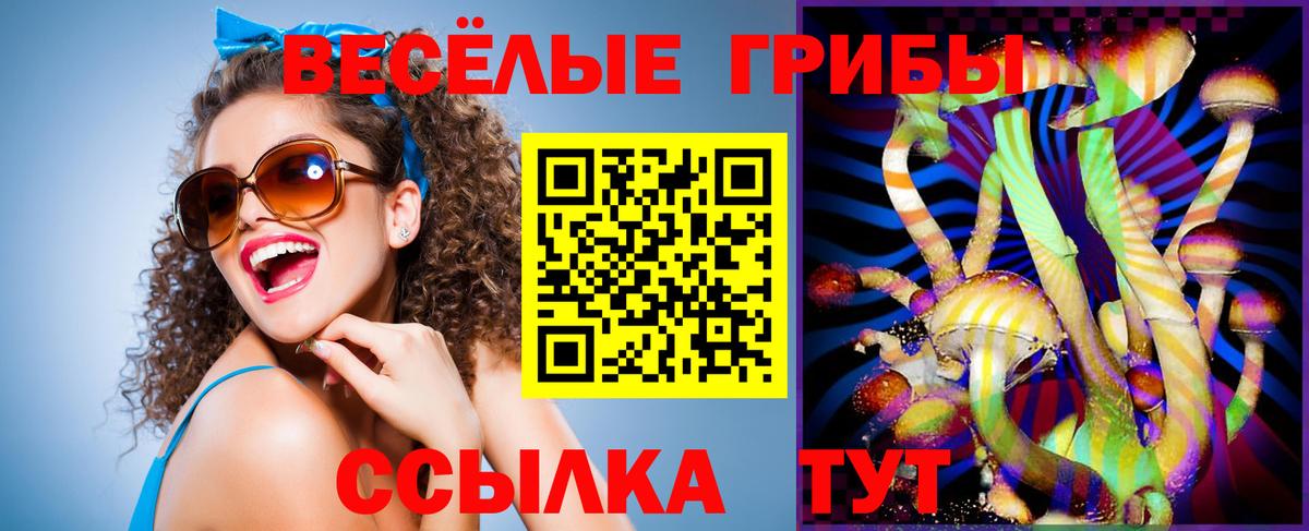 Галлюциногенные грибы Psilocybe Белово