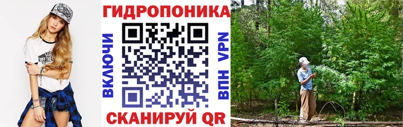 Шишки марихуана гибрид  Белово 